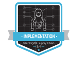 Rocket SAP Implementation and Consulting Badge