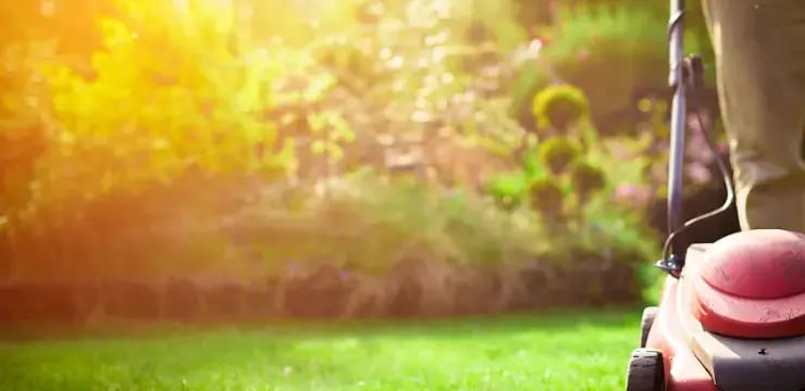 SAP IBP Rocket Case Study