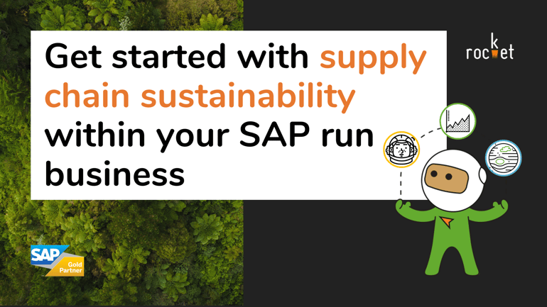 SAP Supply Chain Sustainability 