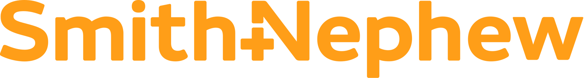 Smith Nephew Logo