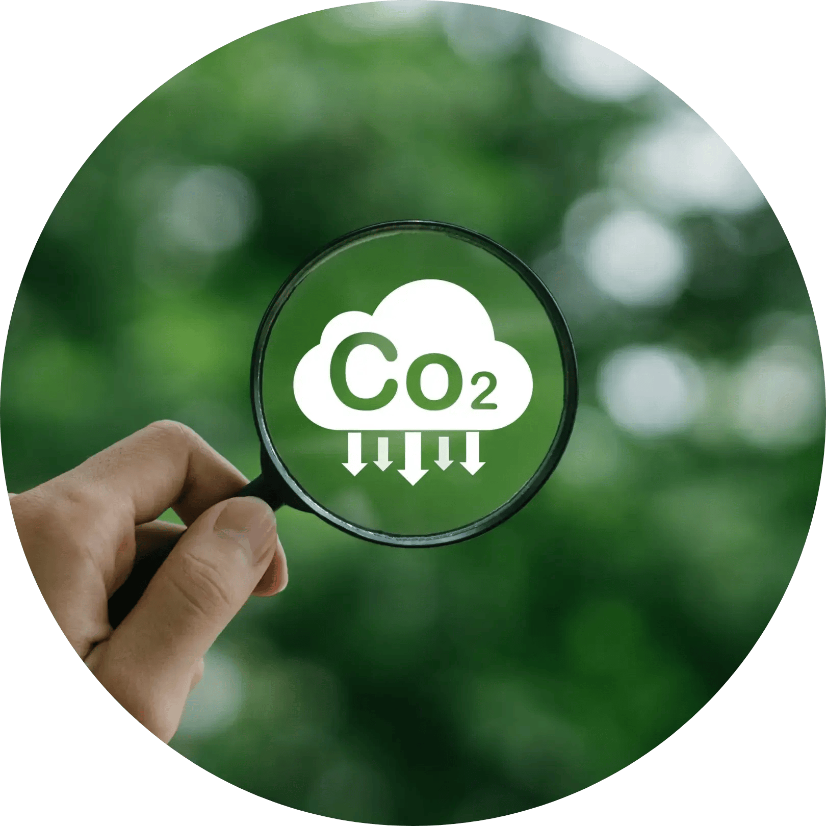 Sustainability image