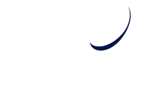 Wartsila Logo