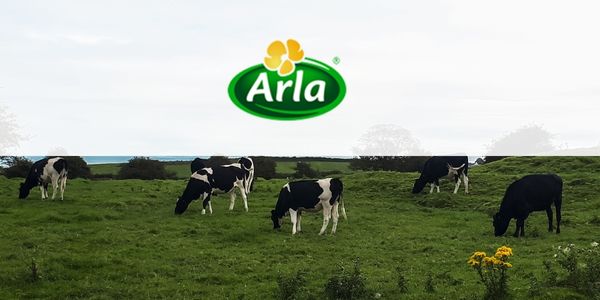 Robots (AGVs) and SAP Extended Warehouse Management Operating the Worlds Largest Liquid Dairy for Arla Foods