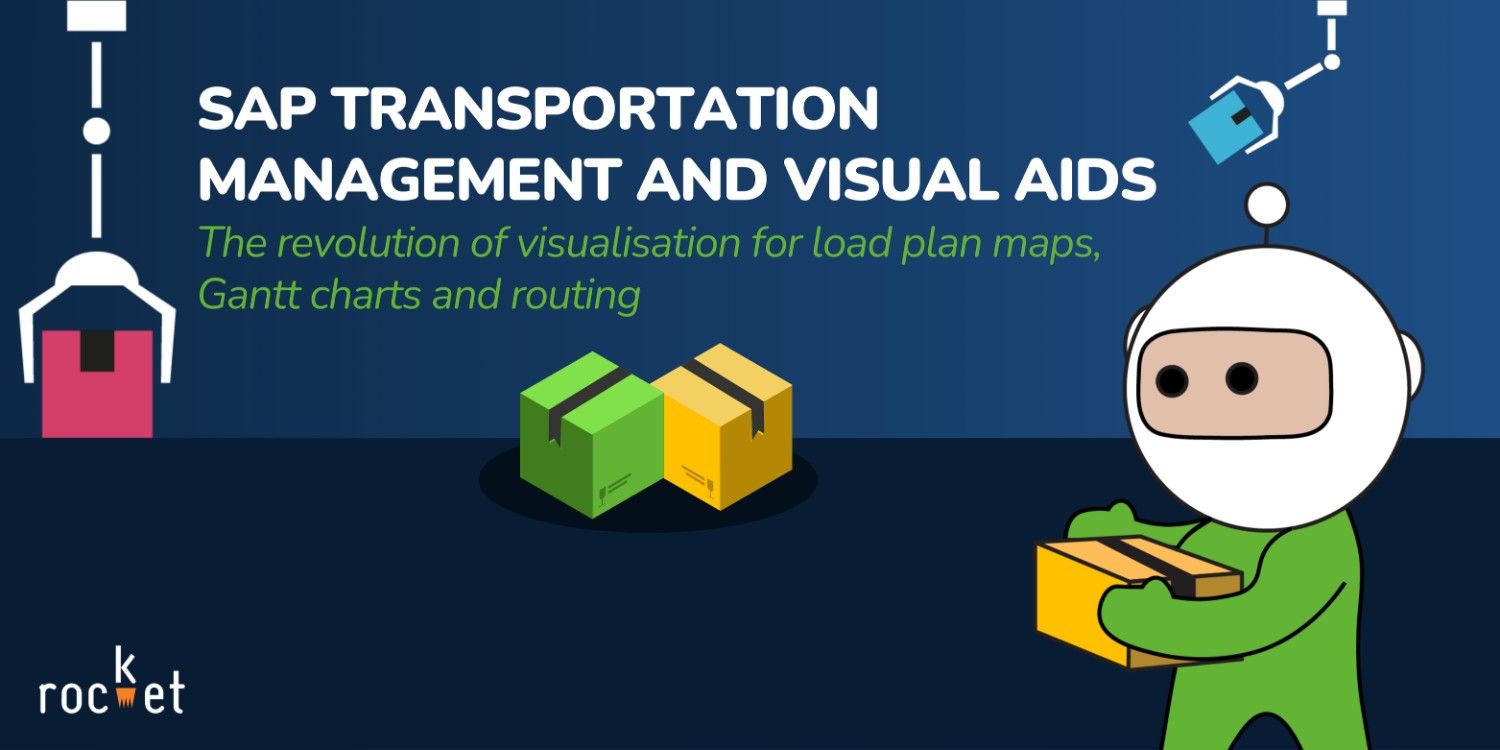 SAP Transportation Management and Visual Aids